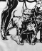 BEAST FACTORY Dragon Ball T-shirt 18th Cơ bắp Chó Thể hình Tay áo ngắn Cơ bắp Anh em Áo thun - Áo phông thể thao