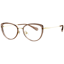 (Exclusive for good things experience) Tyrannosaurus Yang Zi same style myopia glasses frame 24 new cat eye frame female BJ6156