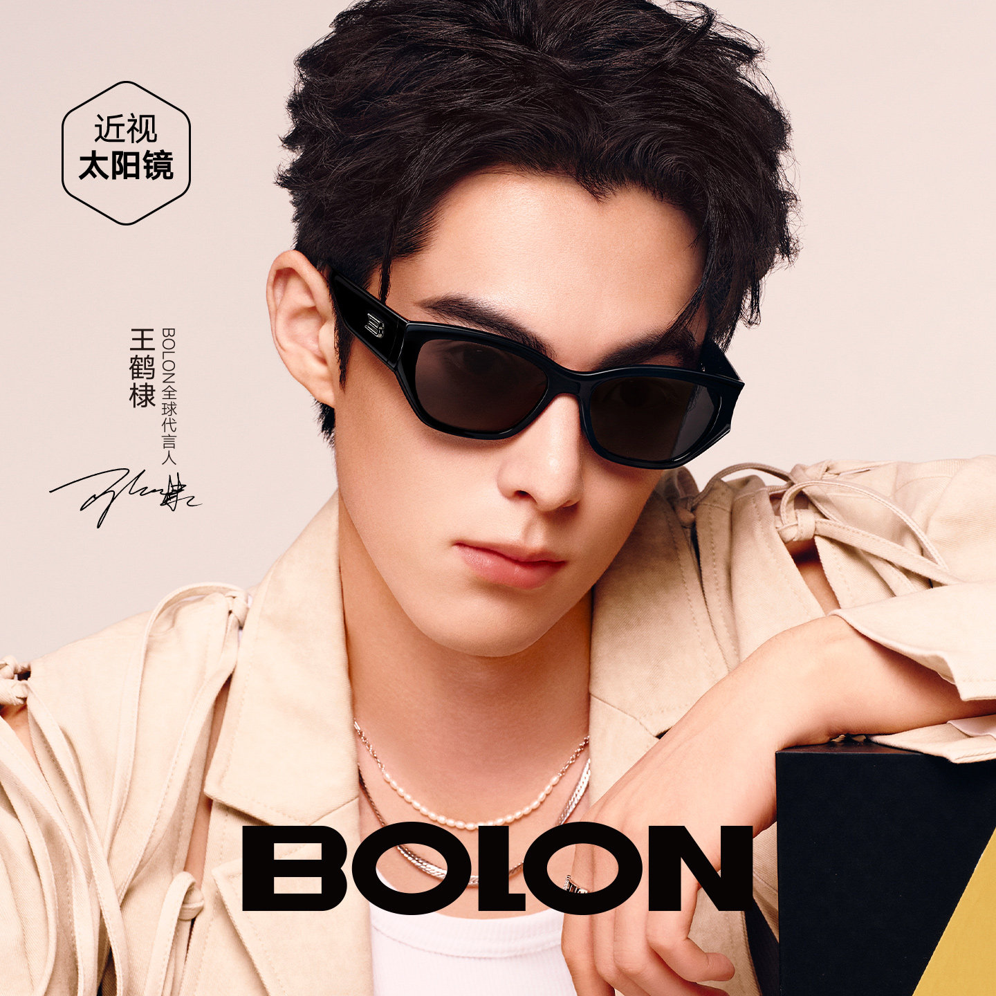 【王鹤棣同款】暴龙眼镜25新品猫眼偏光太阳镜女个性墨镜男BX5008