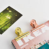 Creative water drop clip stationery metal stainless steel electroplated long tail clip dovetail clip file storage ticket clip office