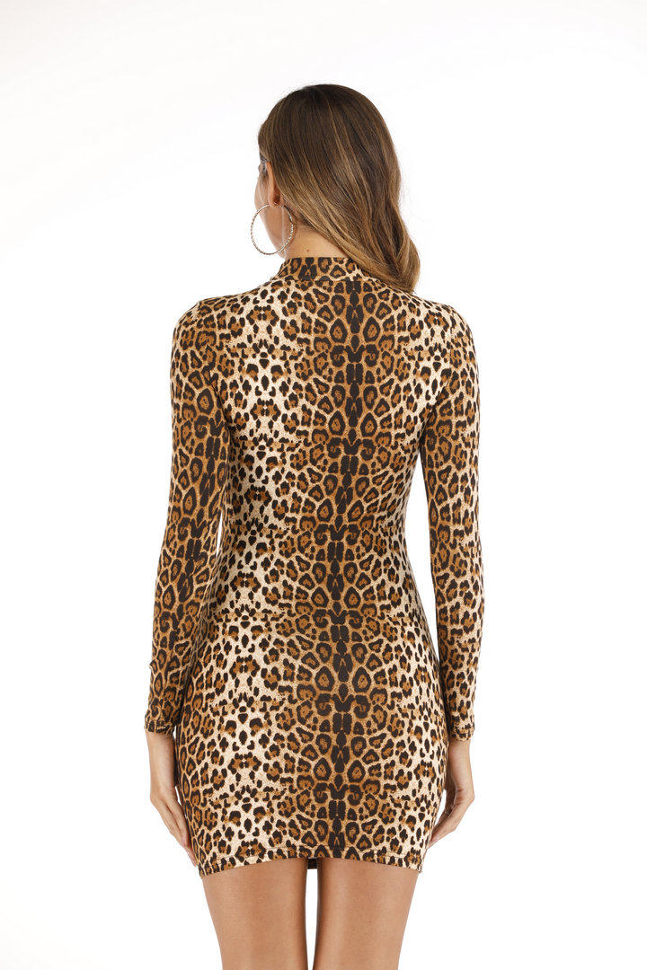 Leopard Printed Bodycon Dress For Women Long Sleeve 2020 Autumn New Pencil Dress Fashion Sexy