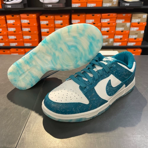 Cool City Nike Nike Dunk Low Women Sneakers Sports Casual Shoes dv3029-100
