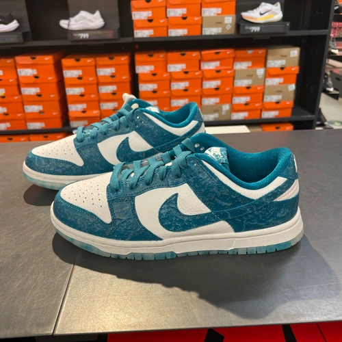 Cool City Nike Nike Dunk Low Women Sneakers Sports Casual Shoes dv3029-100