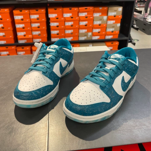 Cool City Nike Nike Dunk Low Women Sneakers Sports Casual Shoes dv3029-100