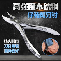 Piglet Stainless Steel Sheared Pliers Piggy Pig Tooth Cut Pliers Beast with Rabbit Breeding Shearer of Tooth Cut and Tail Tongs