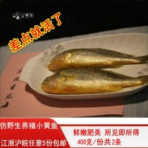 Super fresh East China Sea small yellow fish yellow flower fish deep sea freshness No enemy 400g total 2 strips