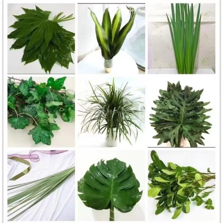 Guangzhou Flowers, Yellow Warblers, Brazilian Gardenias, Needle Grass, Fern Leaves, Decorative Grass, Pine Needles, Turtle Leaves, Star Anise Leaves, Asparagine