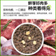 Bile Dog Food Original Fresh Fresh 10kg freeze-dried Labrador Golden Retriever ຫມາຜູ້ໃຫຍ່ຂະຫນາດກາງແລະຂະຫນາດໃຫຍ່ຢ່າງເປັນທາງການຮ້ານ flagship ອະນຸຍາດ