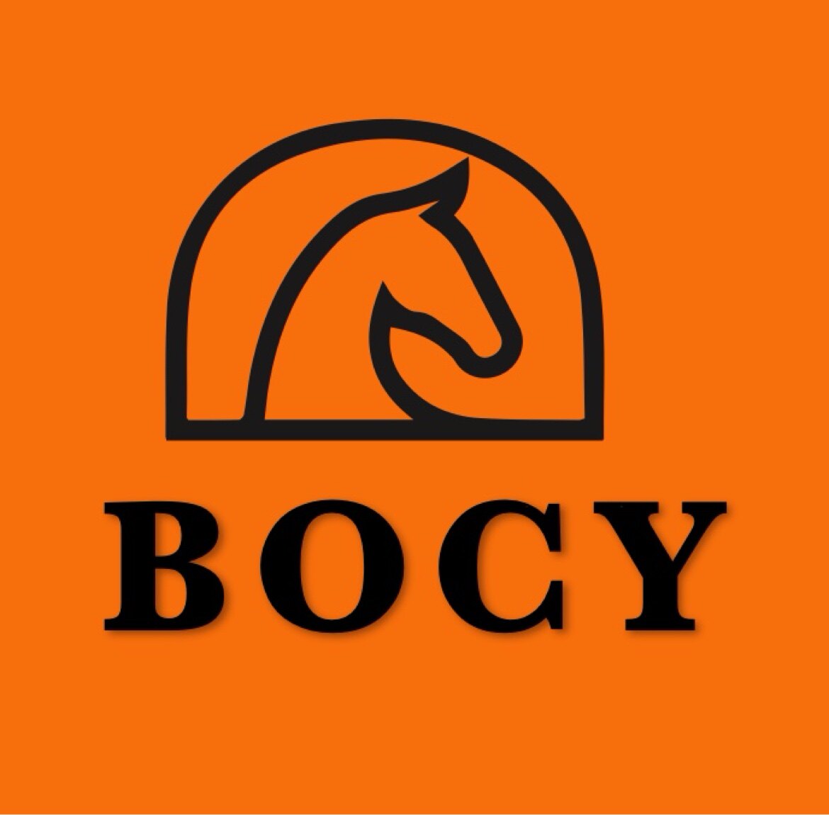 BOCY伯喜骑士品牌店的LOGO