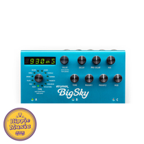 Hippie Music Strymon Bigsky Reverb BigSky effects