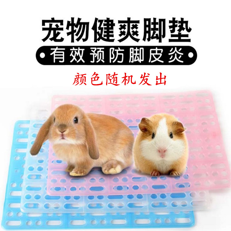 Pet rabbit footbed guinea pig Dutch pig dragon cat anti-biting base plate rabbit cage pedal bottom plate
