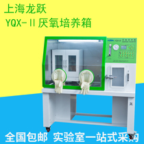 Shanghai Longyue YQX-I YQX-II anaerobic incubator Anaerobic biological incubator Bacterial incubator