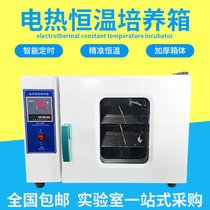 Laboratory bacteria Microbial abdominal permeable liquid seed germination germination box Electric constant temperature incubator 303-0A