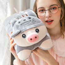 Cartoon hot water bag Rechargeable explosion-proof automatic power-off warm water bag plush cute hand warmer can be removed and washed with double hands