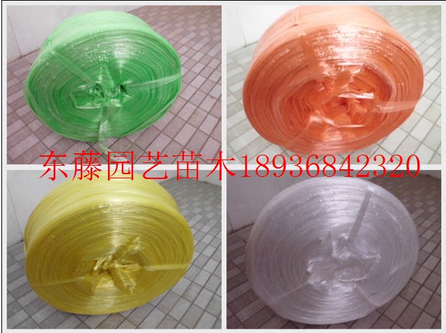 Tear belt strapped rope plastic rope packing rope packing with Jiangsha Huanhu whole bag