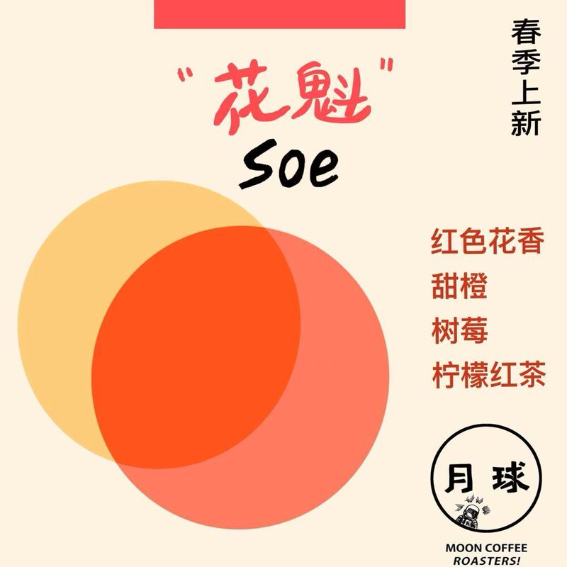 Moon | 2026 New Harvest Season Sun-Dried Ethiopian "Flower Queen" Soe Floral Sweet Orange Raspberry Black Tea