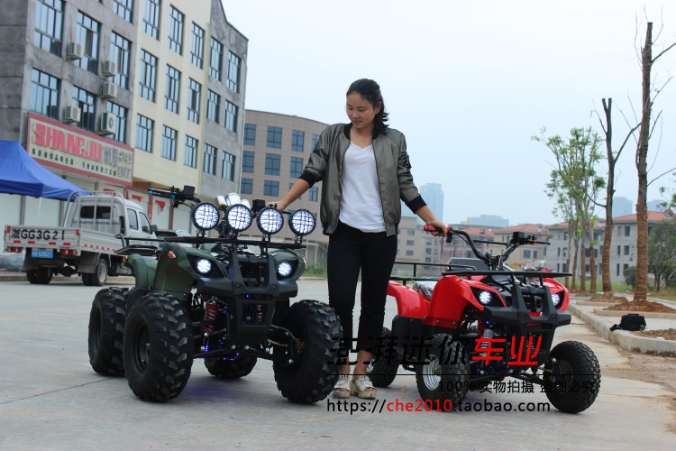 Trục ổ đĩa không chổi than điện bulls ATV 800 Wát động cơ 48 V 8 inch road lốp xe máy bãi biển