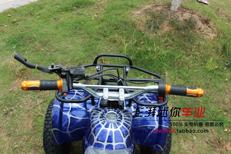 Trục truyền vi sai điện nhỏ ATV 48v20an trục động cơ không chổi than điện bò nhỏ bốn bánh xe