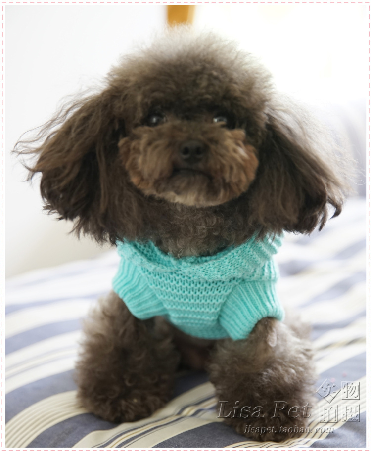 Avery Little Lion áo len thú cưng trang trí Teddy chó con VIP áo len chó con quần áo chó mùa xuân và quần áo mùa thu - Quần áo & phụ kiện thú cưng 	áo dành cho mèo con	