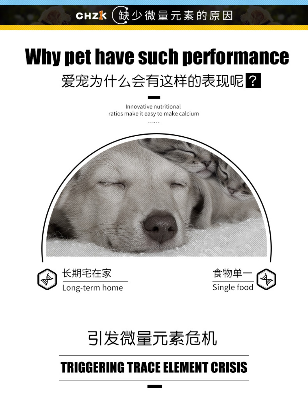 Cat Gila - Thú cưng mới Kang Kang nguyên tố vi lượng chống ăn sẽ ăn cỏ thú cưng mèo sản phẩm sức khỏe mèo 140 viên 	sữa cho chó con uống