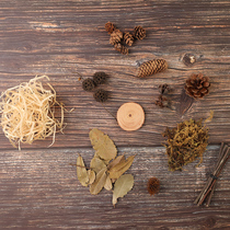 Forest Baby Natural Pine Nuts Branches Ins Gourmet Retro Background Pendulum photographing Photographic Props