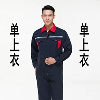 Тибетская синяя молния.