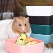 Hamster ceramic food bowl golden silk bear hedgehog parrot learn to eat box guinea pig anti-flip anti-splash food bowl feed box supplies