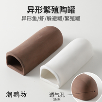 Tropical fish ornamental shrimp beard large sail fish Alien Abnormal Breed Jars Panda Allotypic Rat Fish Hide Jar Pottery Jars Breeding House