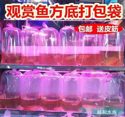 Koi bag ornamental fish aviation packaging bag transport bag plastic bag four-corner square bottom bag to send leather band