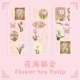 Huahai Tulip-3 листы