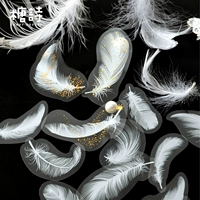 Phantom Time и Space Pet Callicraphy Водонепроницаемое руководство Fat Wing ins