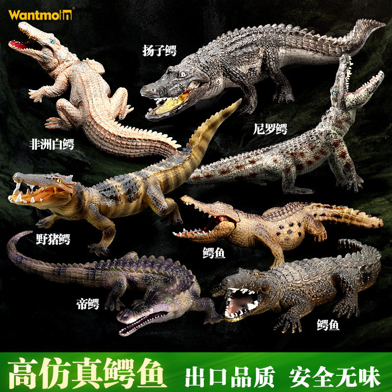 Play Molle Child Emulation Crocodile Wildlife Model Toys Niro Avocado Avocado Avocado Shortkiss Avocado