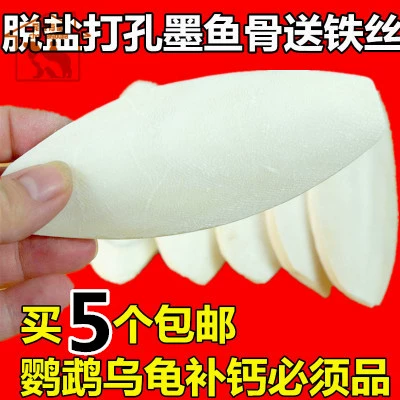 Mực nang Xương hổ Peony Vẹt Molar Canxi Sinh sản Nguồn cung cấp chim Dụng cụ Rùa sóc 5 miếng - Chim & Chăm sóc chim Supplies