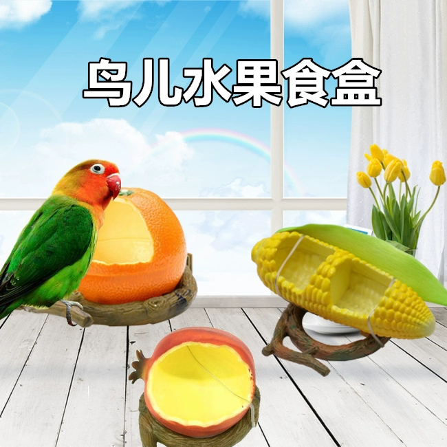Hộp thức ăn cho chim Vẹt trung chuyển hình trái cây Máng thức ăn cho chim Máng chống lây lan Hộp thức ăn cho chim - Chim & Chăm sóc chim Supplies