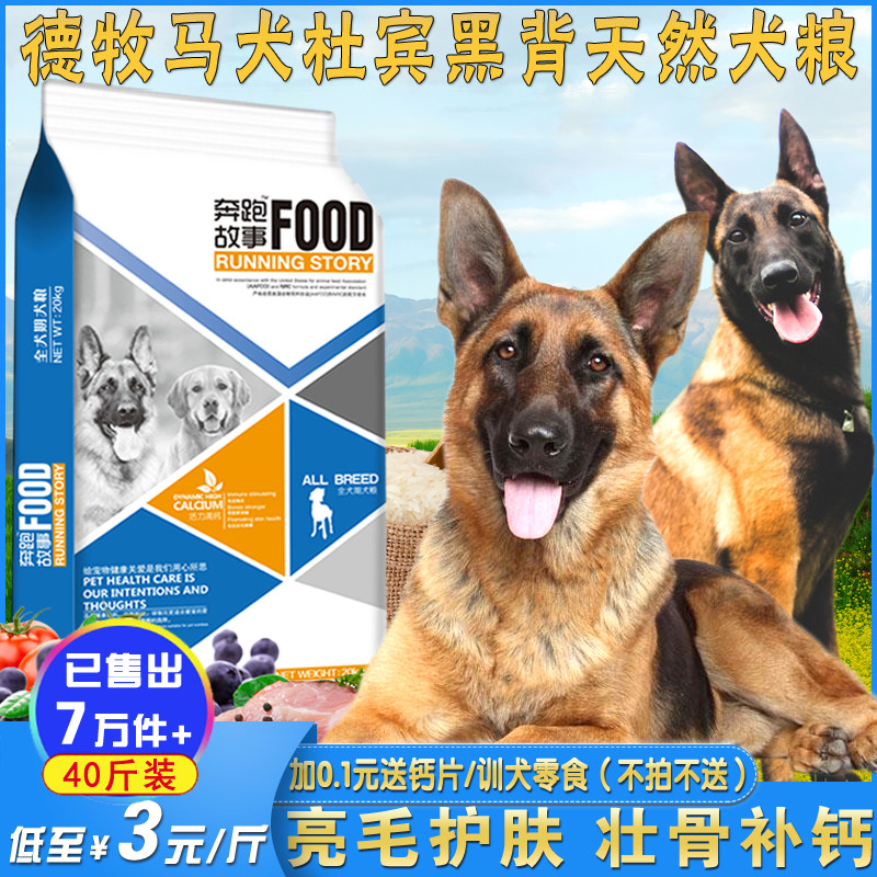 German Shepherd Black Wolf Dog Doberman German Shepherd Wolf Green