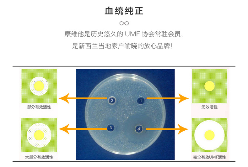 康维他UMF10+麦卢卡蜂蜜500g*2瓶