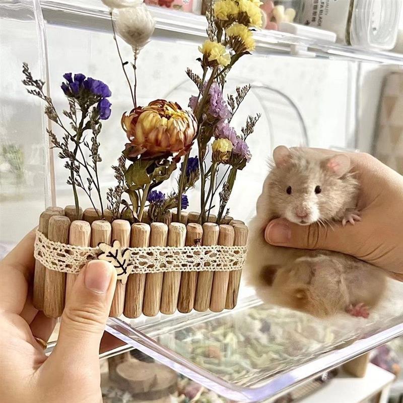 【静岡】114M 駿河山正 虎 添配 二点 置物 盆景 2個 空間擺設系魚川真柏精品盆景茶道意境雀樓植栽- Pinkoi 限時優惠活動