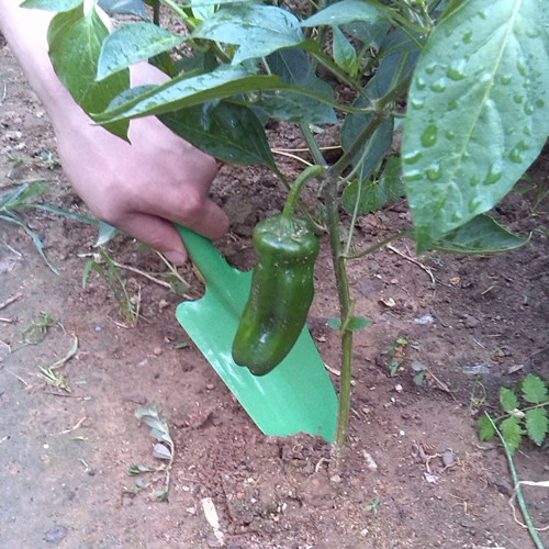 Nhỏ màu thép không gỉ hoa xẻng thực vật hoa cấy trồng nhỏ hoa xẻng ngoài trời nguồn cung cấp vườn binh tuoi cay