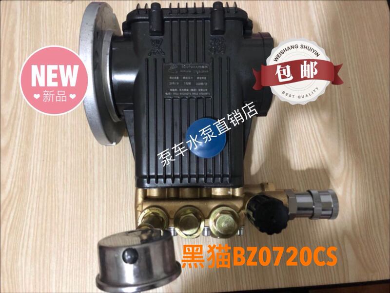 Black Cat Bz0720Cs Sany, Zoomlion, Xcmg Pump Truck Special Water Pump/Pump Truck High-Pressure Cleaning Pump 18 Shaft