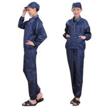 Dust-proof clothes split static static clothes short anti-static top pants hidden blue dirty and durable split clean clothes