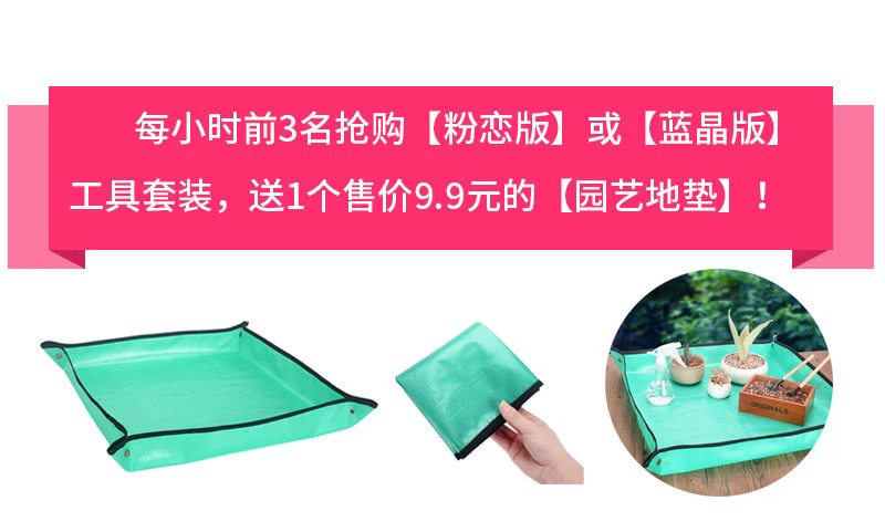 Công cụ trồng mọng nước kết hợp thiết lập làm vườn mini cung cấp thịt và công cụ thịt trong chậu - Nguồn cung cấp vườn