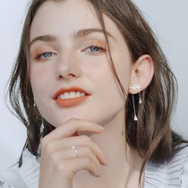 Tassel flower s925 sterling silver earrings micro-inlaid flash Diamond Korean gold secretary with temperament Flower Diamond long earrings