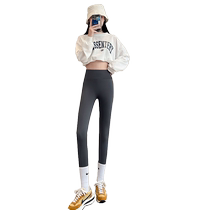 Shark Pants Womens Outerwear Autumn and Winter High Waist Seamless Stretch Barbie Yoga Pants No Embarrassing Lines Plus Velvet Matte Leggings