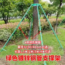 Iron hoop green galvanized steel pipe Greening fixer big tree support frame tree support tree support Rod support tree stand