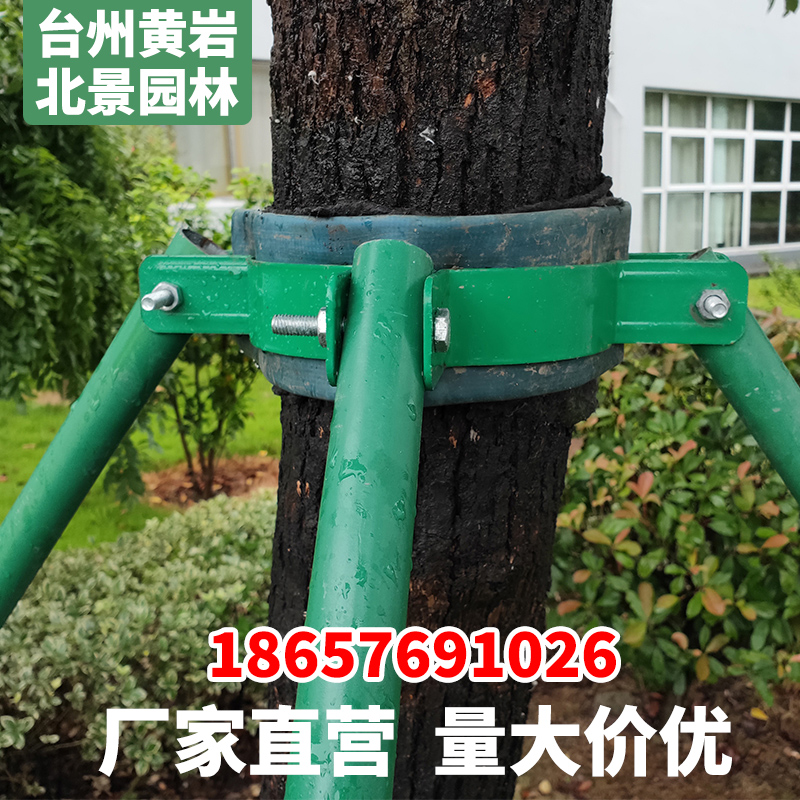 Green galvanized steel pipe greening fixer big tree tree support frame tree support telescopic rod support tree frame iron hoop