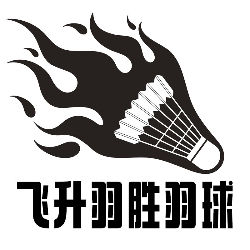飞升羽胜羽球