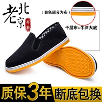 Тысяча -слоя ткани плюс сухожилие говяжьего сухожилия [новое обновление ограниченное время специальное время] (пара паров)