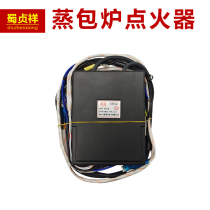 Steam furnace igniter commercial pulse accessories energy saving king steaming bag furnace controller sausage powder machine steaming cabinet repair 3V electronics