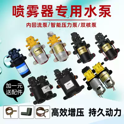 Sprayer electric agricultural portable spray machine fog machine car washing machine pump high pressure diaphragm pump machine