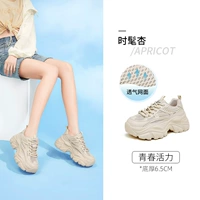 Абрикосовый, 703121W